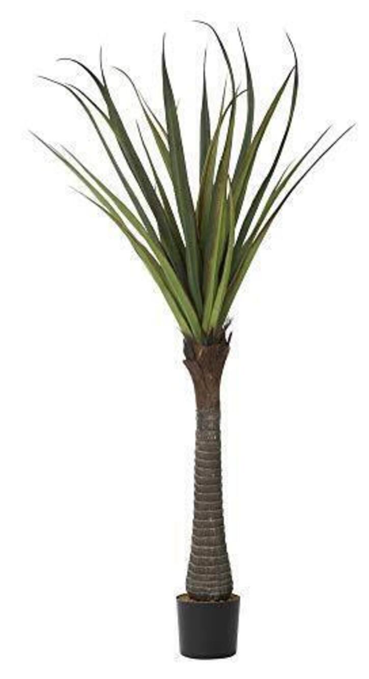3305 72"H Real touch agave